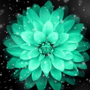 Meet your Posher, Heavenly